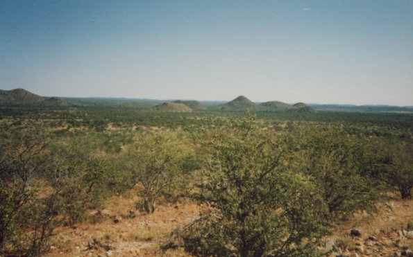 verbuschte_landschaft