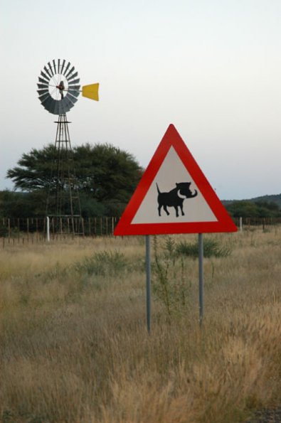wildschwein_crossing